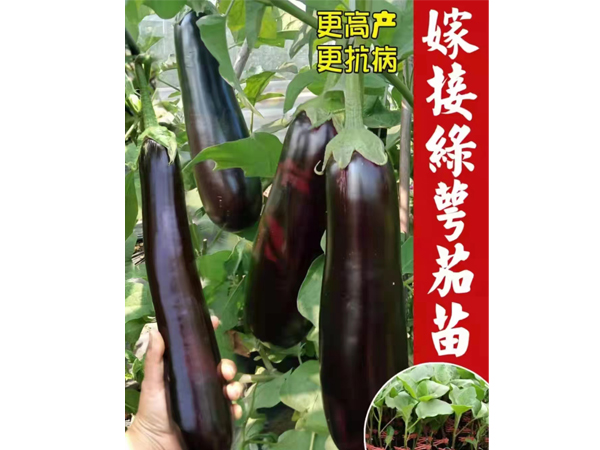 戳我试试