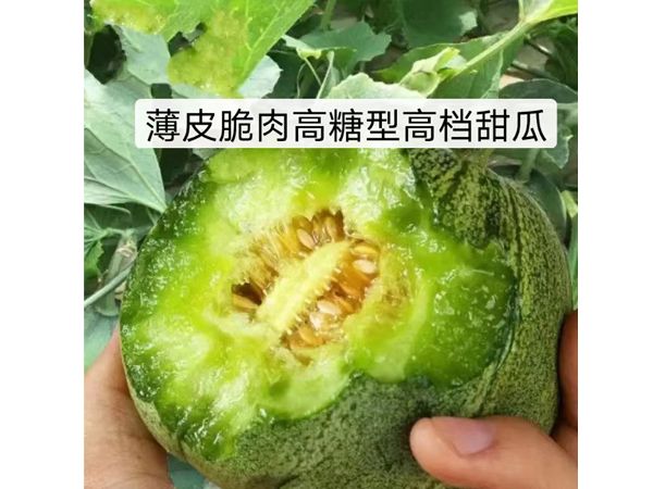 绿宝
